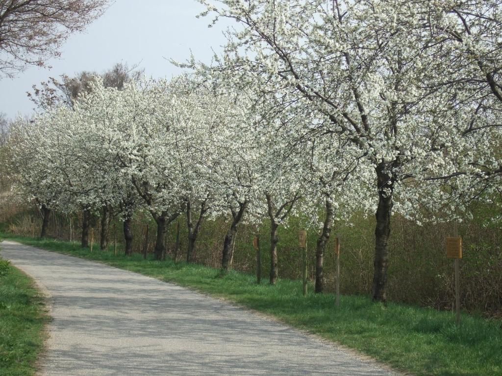 Gasthof-Pension Wein بريتنبرن المظهر الخارجي الصورة